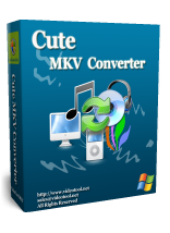mkv converter